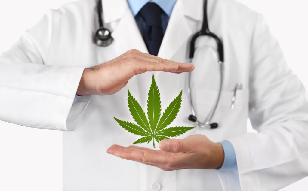 cannabisdocgroup
