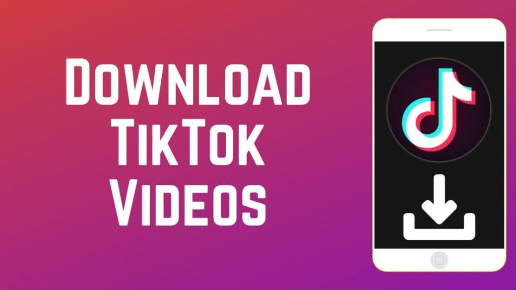 Download TikTok Videos